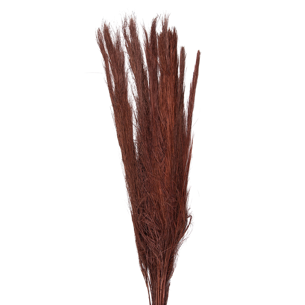 Droogbloemen 10x5x85 cm