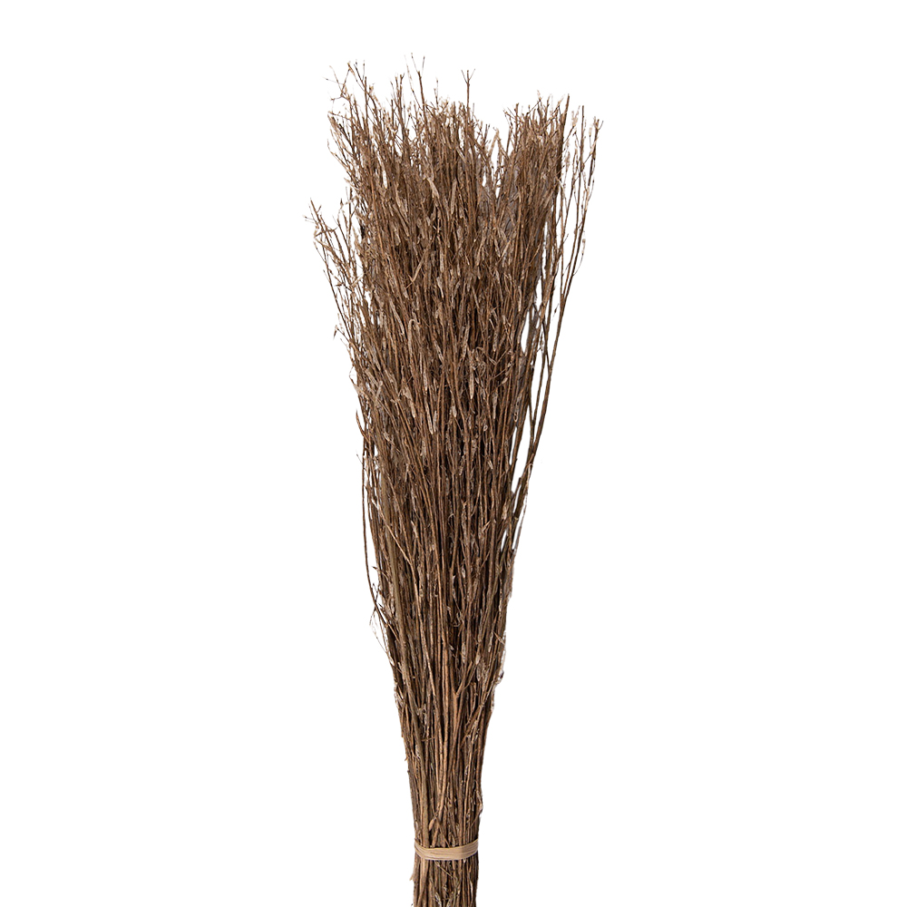 Droogbloemen 20x6x80 cm