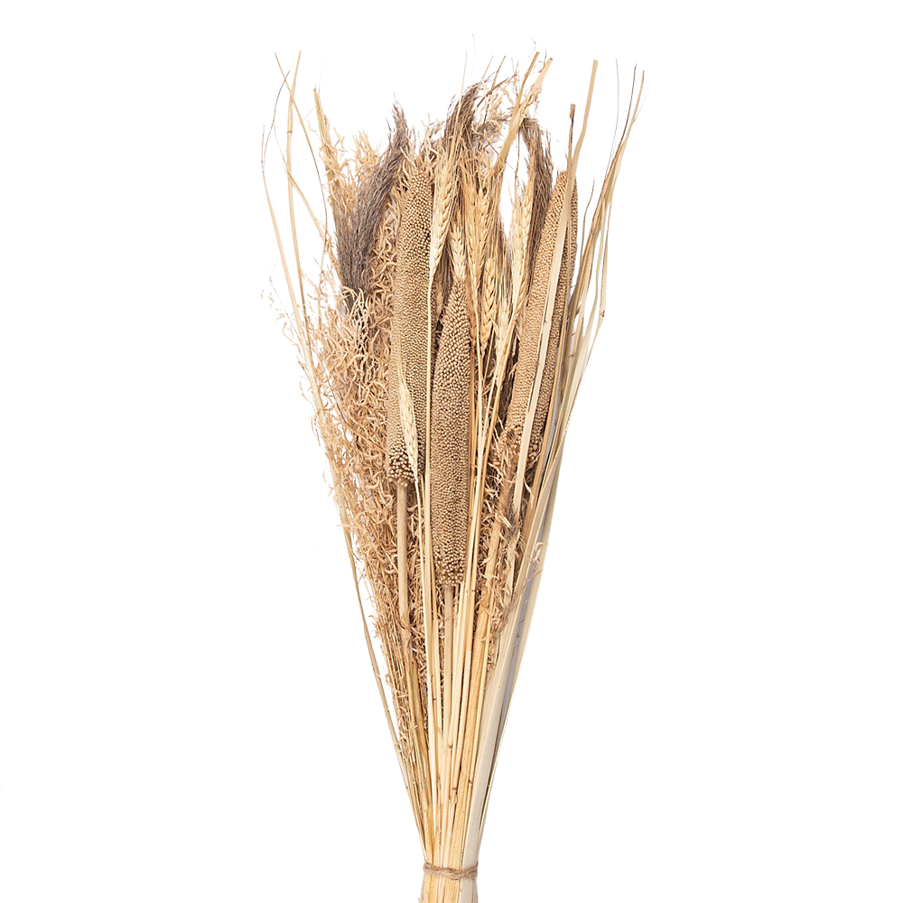 Droogbloemen 20x6x80 cm