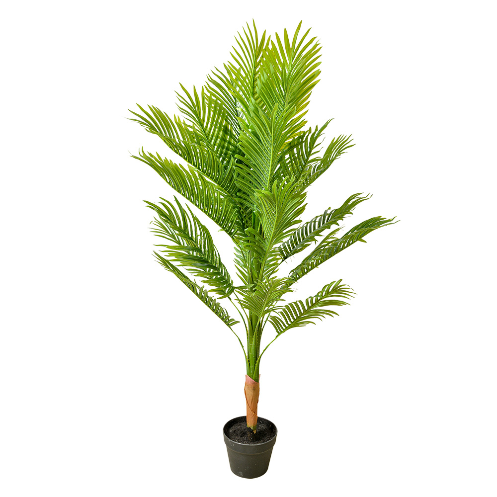Decoratie kamerplant varen 48x48x130 cm