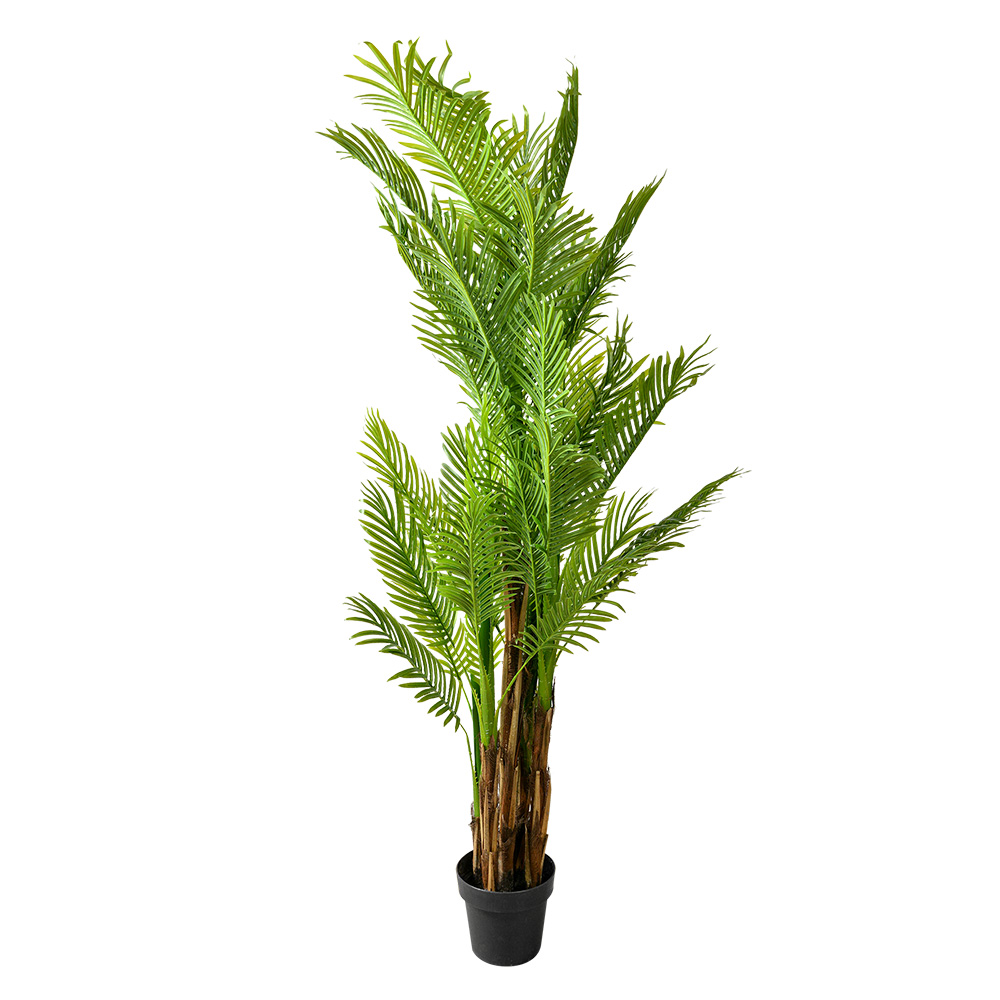 Decoratie kamerplant 50x50x170 cm