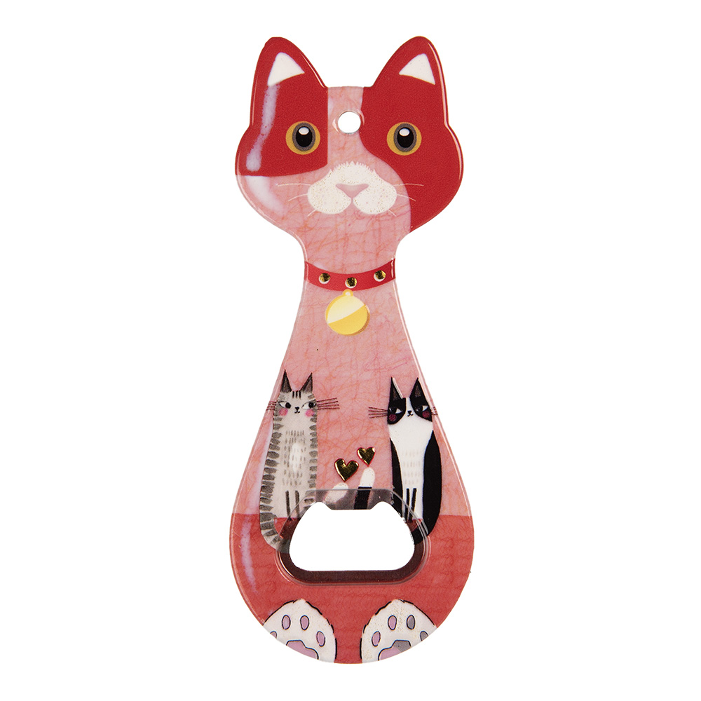 Flessenopener 5x14x1 cm