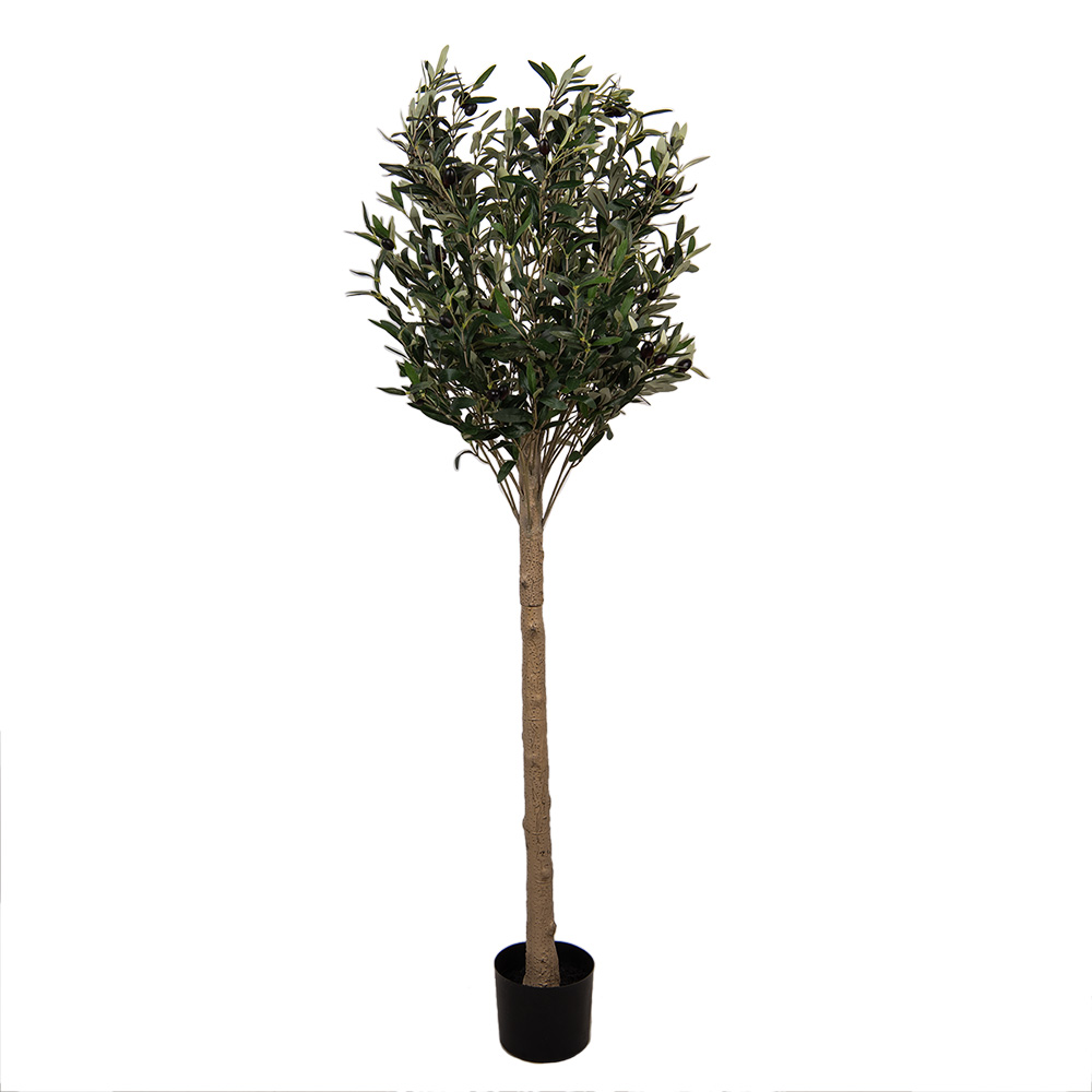 [5PL0148] Decoratie olijf boom 50x50x165 cm