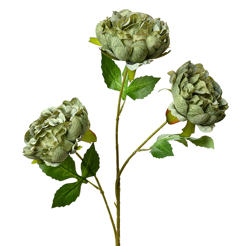 [5PL0166GR] Decoratie tak met bloemen 12x8x80 cm