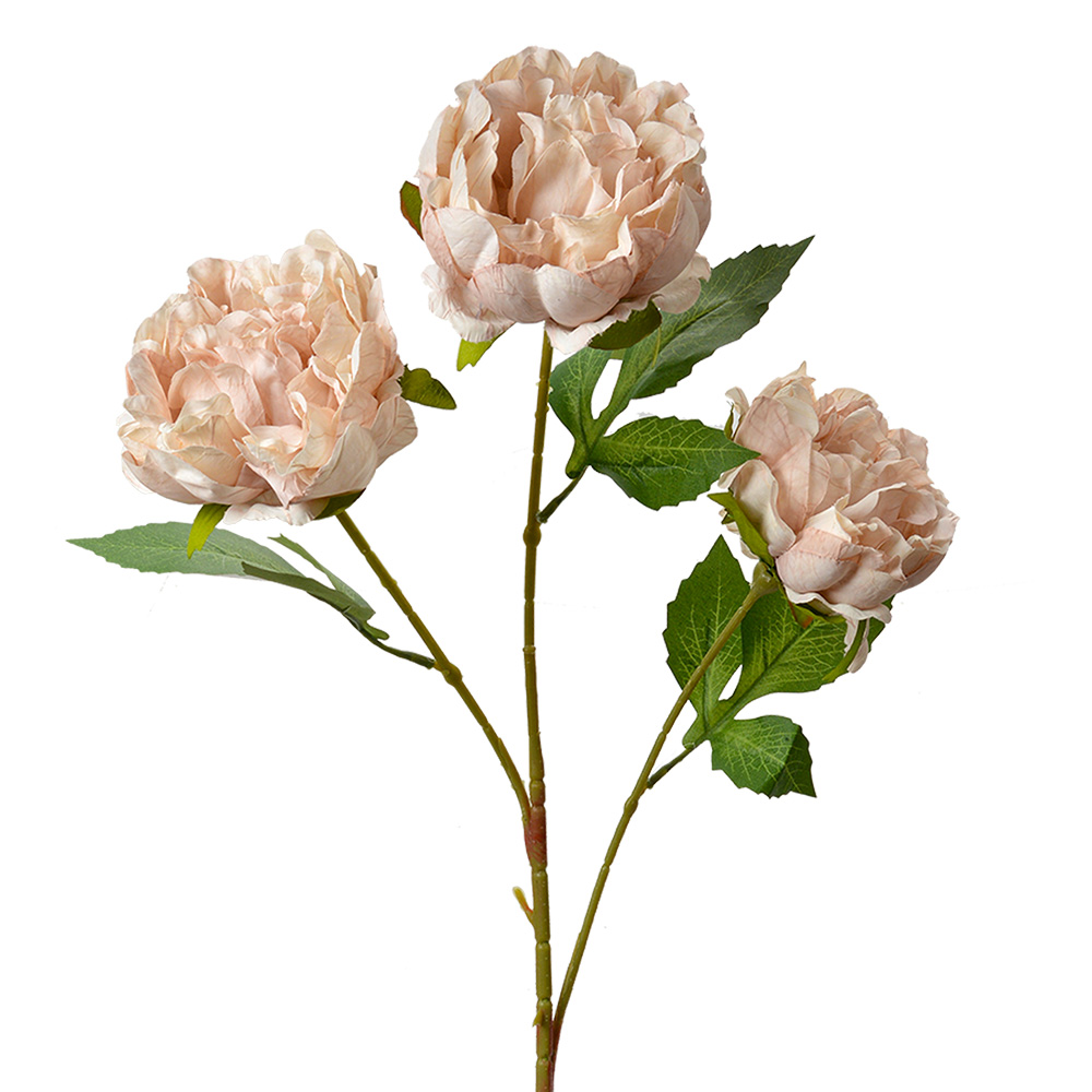 Decoratie tak met bloemen 12x8x80 cm