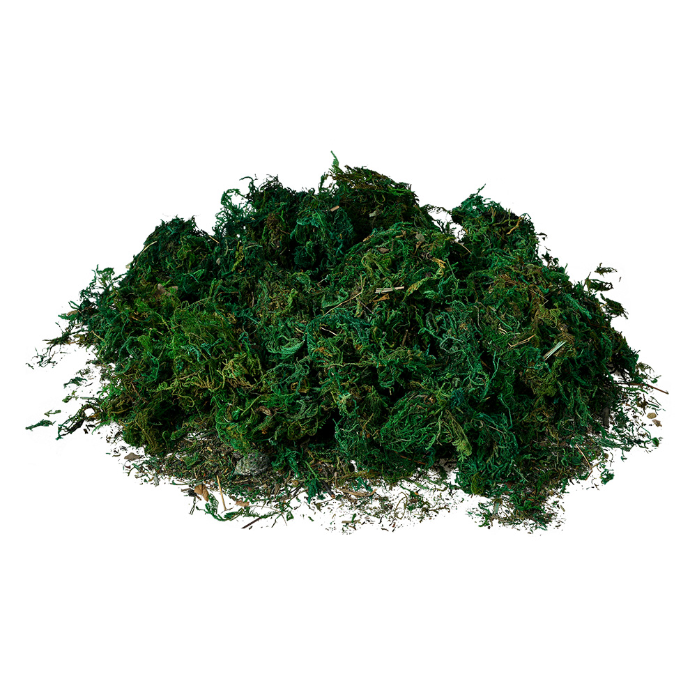 [66109] Decoratie mos (los) 75 g