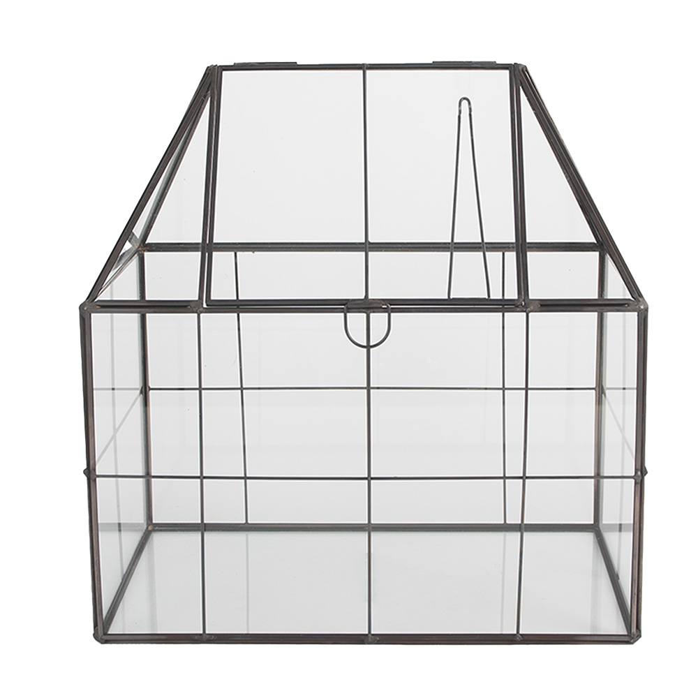 [6GL5368] Decoratie kweekkasje 25x16x26 cm