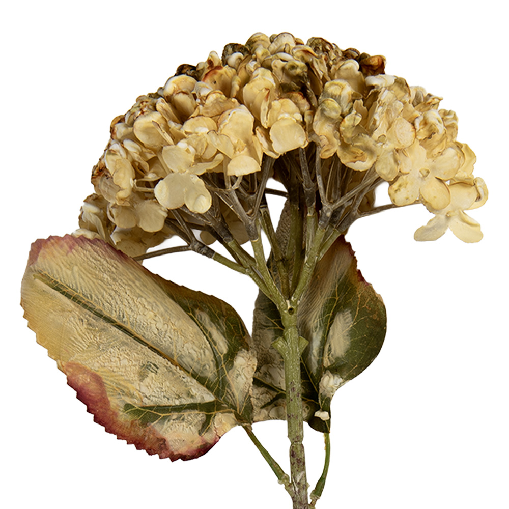 Decoratie tak met bloemen 15x15x47 cm