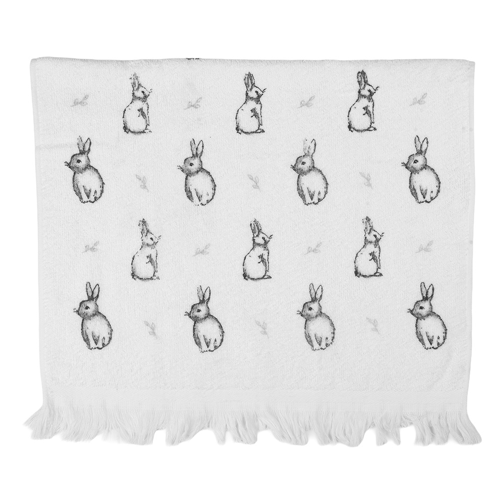 [CTBNS-1] Gastendoekje 40x66 cm