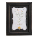 Fotolijst 18x2x23 cm / 13x18 cm