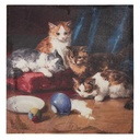 Schilderij met katten 60x3x60 cm