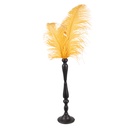 Decoratie veren 40x17x62 cm