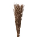 Droogbloemen 20x6x80 cm