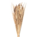 Droogbloemen 20x6x80 cm