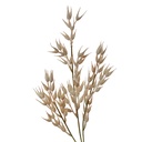 Decoratie tak 15x2x72 cm