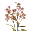 Decoratie tak met bloemen 15x7x70 cm