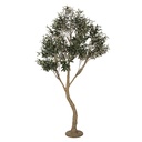 Decoratie olijfboom 140x130x250 cm