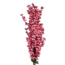 Decoratie tak met bloemen 15x10x100 cm