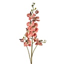 Decoratie tak met bloemen 15x8x116 cm