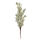 Decoratie tak 10x8x45 cm