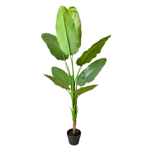 Decoratie kamerplant 35x35x160 cm