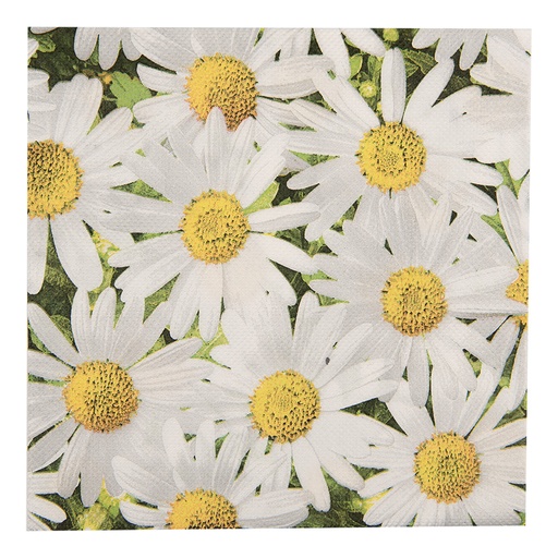 Papieren servetten 33x33 cm (20)